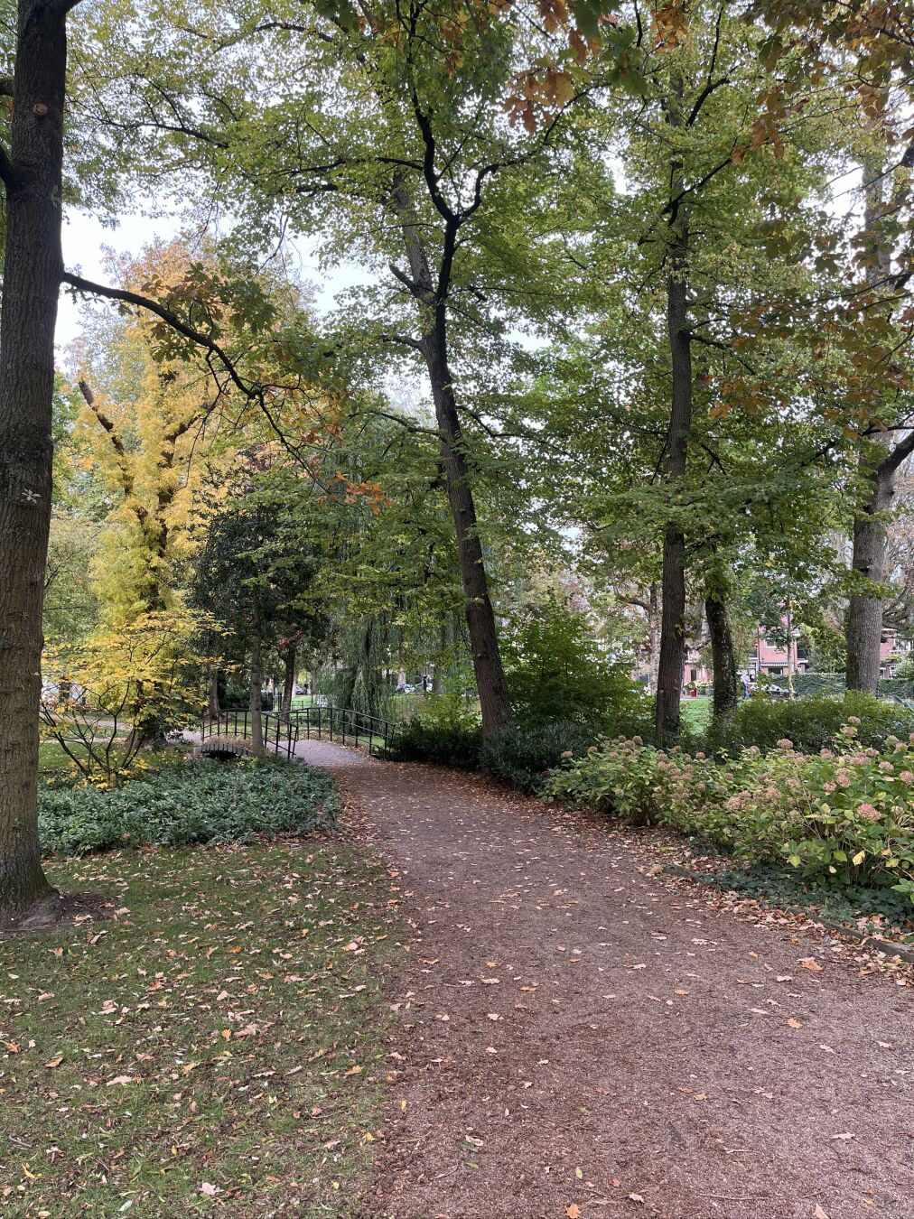 Path