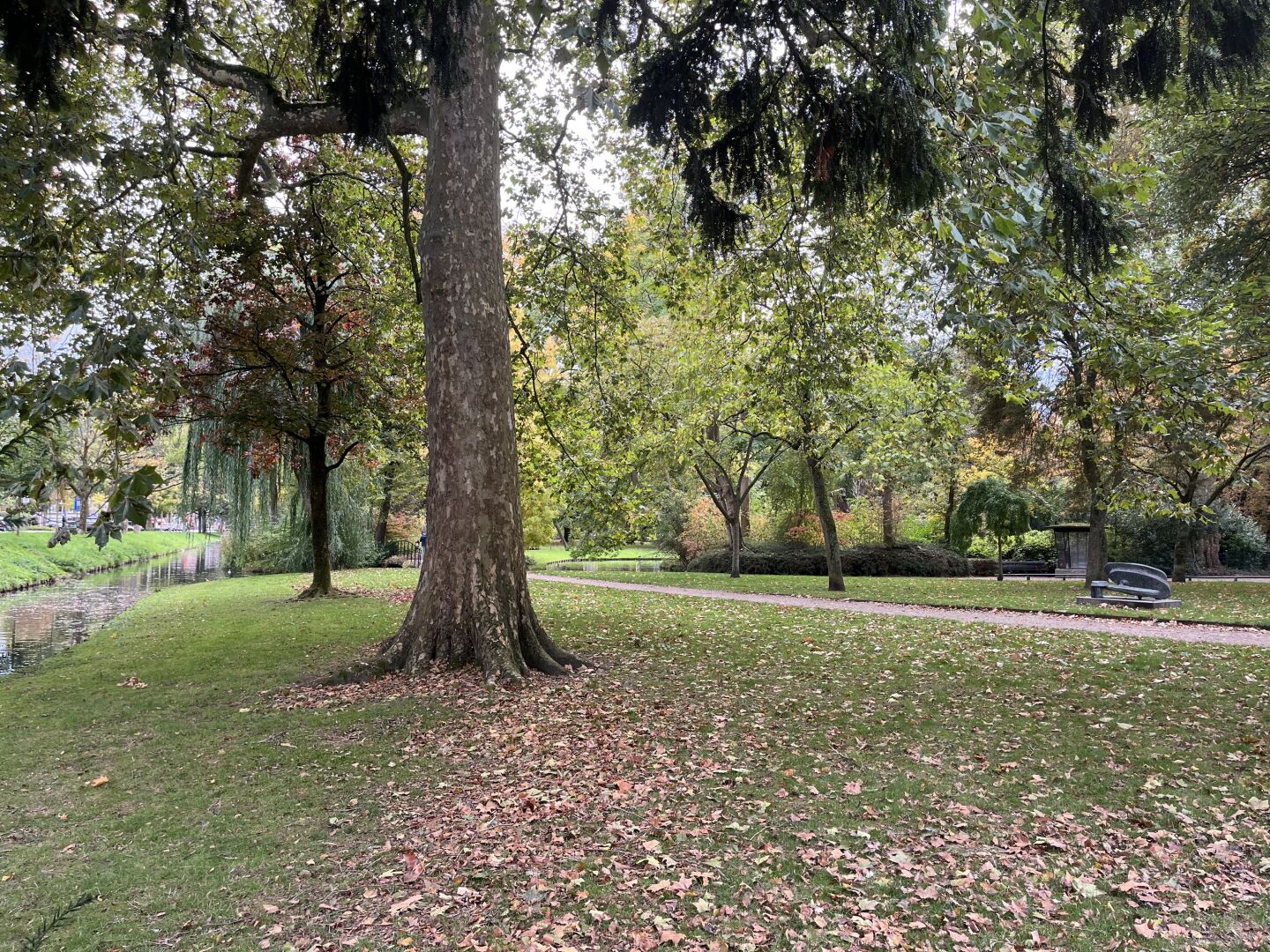 Park