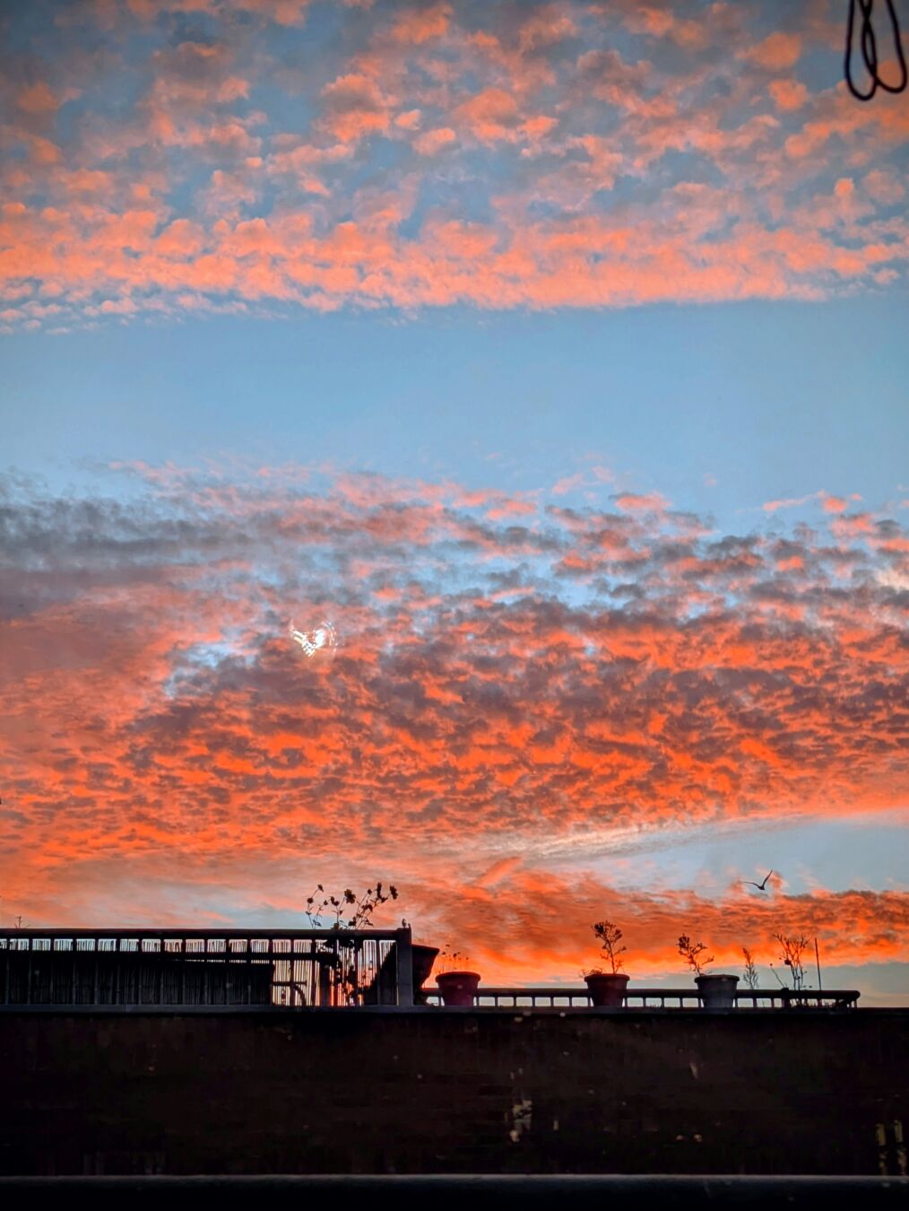 Colorful skies on a light blue canvas. The cloud are thinly spread and many shades of grey and orango by a touch of sunlight.